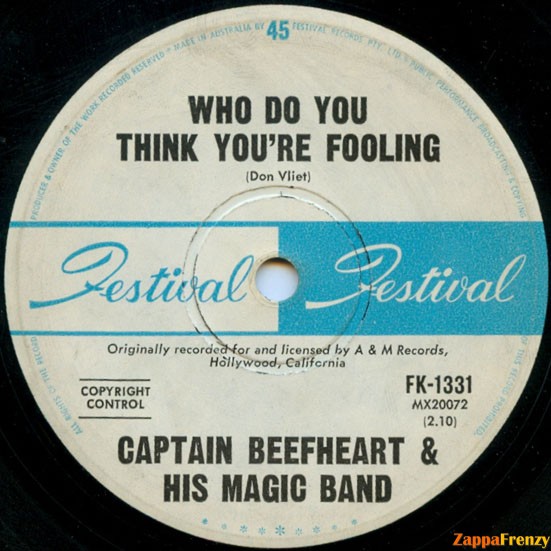 Who_Do_You_Think_You're_Fooling?