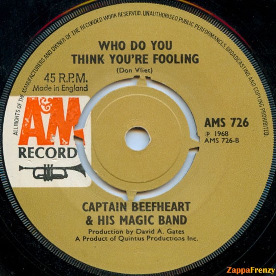 Who_Do_You_Think_You're_Fooling?