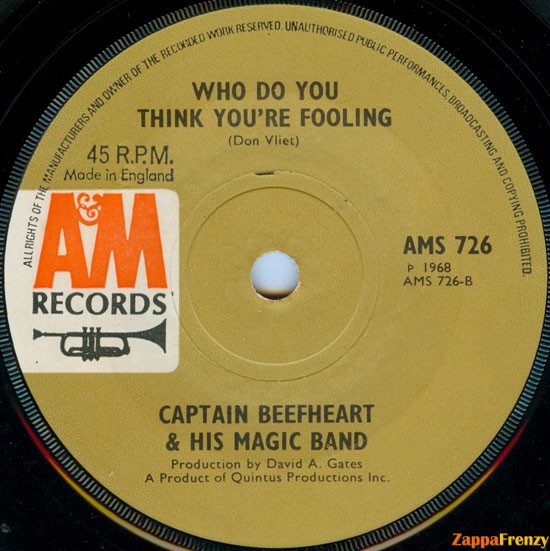 Who_Do_You_Think_You're_Fooling?