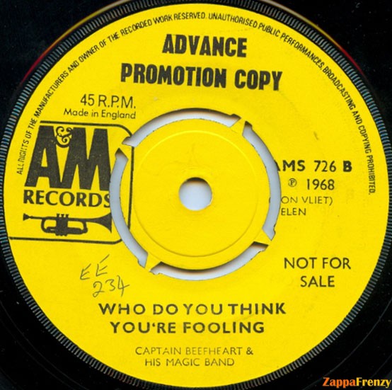 Who_Do_You_Think_You're_Fooling?