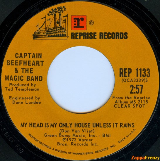 My_Head_Is_My_Only_House_Unless_It_Rains