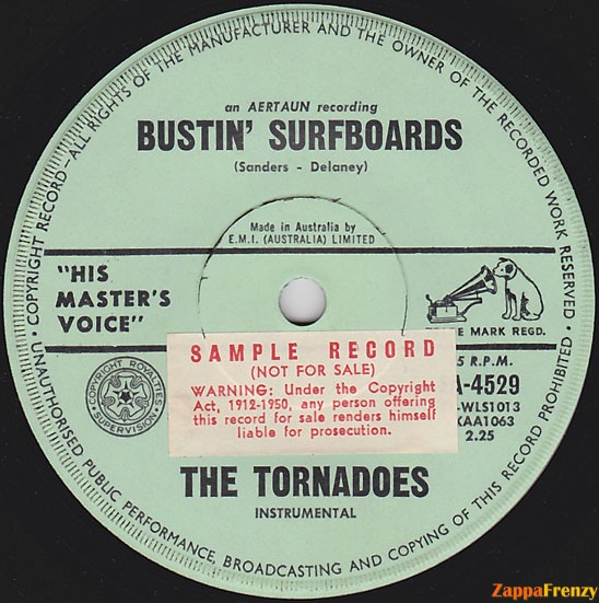 bustin'_surfboards