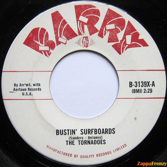 bustin'_surfboards