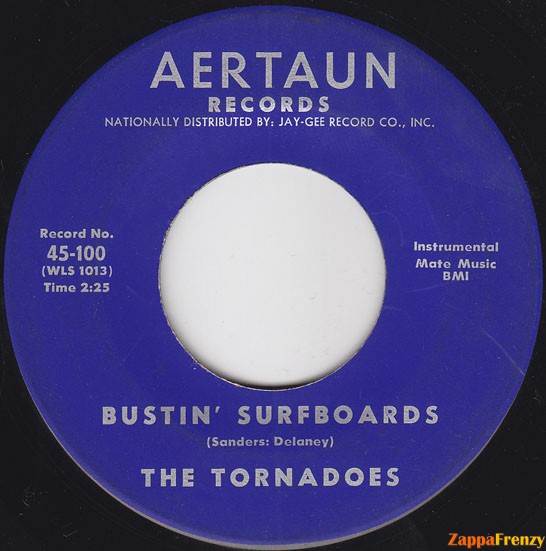 bustin'_surfboards
