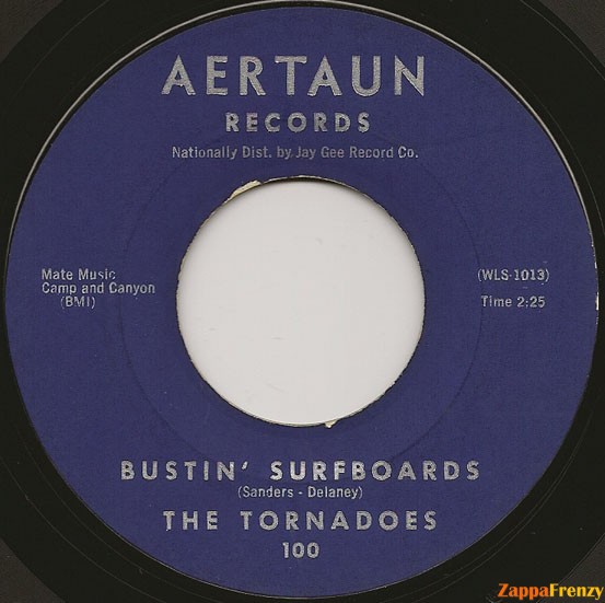 bustin'_surfboards