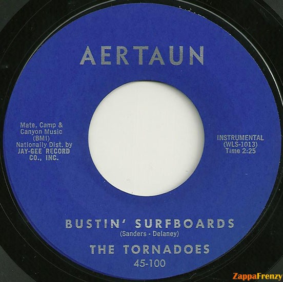 bustin'_surfboards