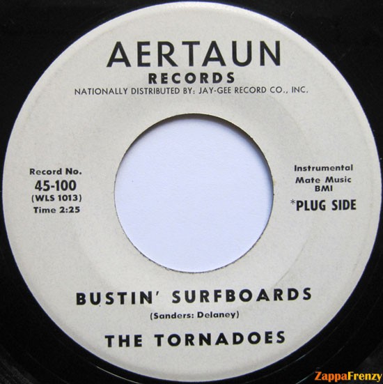 bustin'_surfboards