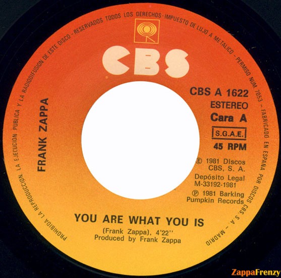 You_Are_What_You_Is